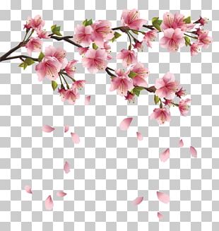 falling flowers png images falling flowers clipart free download imgbin com