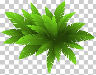 Plant Leaf PNG, Clipart, Aplant, Cartoon, Cizgi, Cizgi Karakter, Clip ...