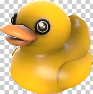 Team Fortress 2 Duck Hunt Left 4 Dead Terraria PNG