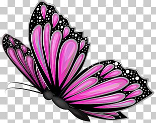 Butterfly Euclidean Pink PNG, Clipart, Animation, Blue Butterfly ...