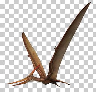 Pteranodon Pterosaurs Tyrannosaurus Pterodactyl PNG, Clipart, Artwork,  Cartoon, Cizgi, Dinosaur, Drawing Free PNG Download
