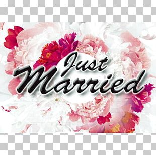Garden Roses Toy Balloon Newlywed Cut Flowers Flower Bouquet PNG