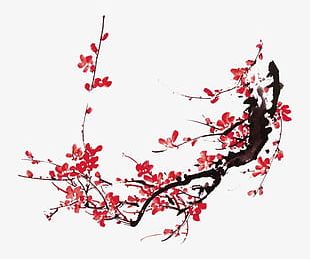 Plum Blossom Chinese Painting PNG, Clipart, Ameixeira, Blossom, Branch ...