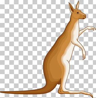 Cute Kangaroo PNG, Clipart, Animal, Backgrounds, Big, Big Eyes, Brown ...