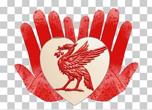 Liverpool F.C. Warriors FC Everton F.C. Football 2017â€“18 Premier League PNG
