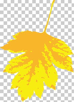 Autumn Leaves Maple Leaf Graphics Euclidean PNG, Clipart, Autumn ...