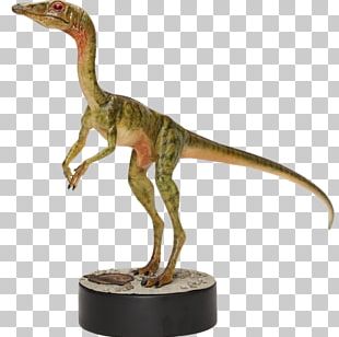 Lego Jurassic World Velociraptor Tyrannosaurus Jurassic Park PNG ...