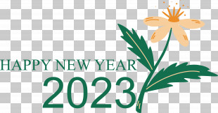 Floral Design PNG