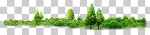 Thailand Mangrove Water Vegetation Sufficiency Economy PNG