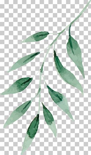 Watercolor Painting Drawing Leaf PNG