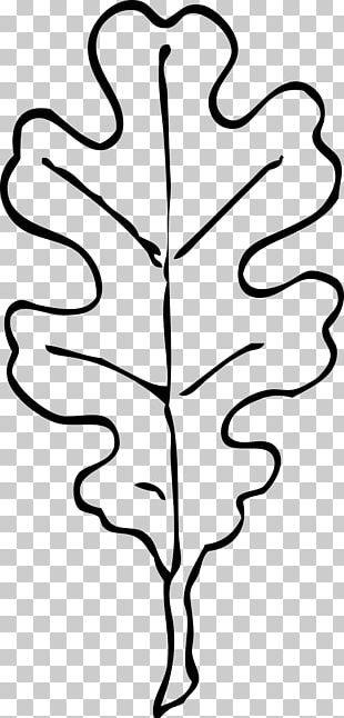 oak leaf clip art black and white