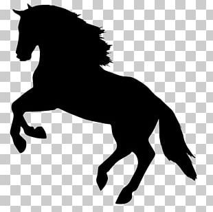 Horse Icon PNG, Clipart, Animals, Creative, Dark, Dark Clouds, Darkness ...