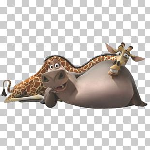 Gloria Melman Skipper Madagascar Character PNG, Clipart, Animals ...