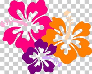 Hawaiian Flower Aloha PNG, Clipart, Aloha, Artwork, Clip, Cut Flowers ...