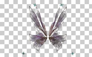 Fairy Tinker Bell PNG