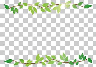 Leaf Frame Rectangular . PNG