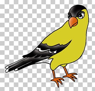 maya bird clipart images