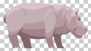 Cartoon Animal - Cartoon Hippopotamus Illustration PNG