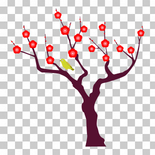 Plum Tree Plum Winter Flower PNG