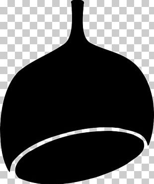 Gum Trees Seed PNG