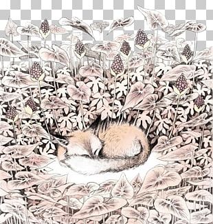 IPhone 6s Plus IPhone 6 Plus Hedgehog Hibernation PNG
