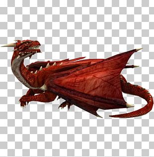 red western dragon