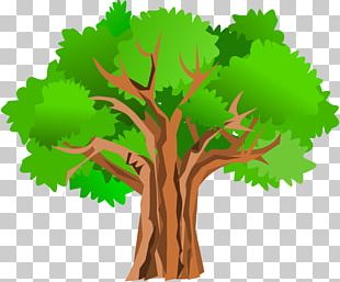 Free Creative Pull A Tree PNG