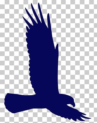 Bald Eagle Flight Drawing PNG, Clipart, Accipitriformes, Animals, Art ...