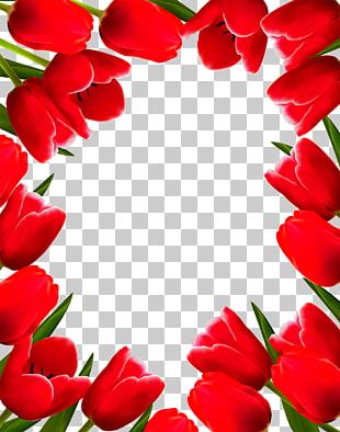 Tulip Flower Frame PNG