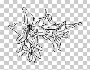 Flower Drawing Paper Coloring Book PNG, Clipart, Area, Black, Black And ...