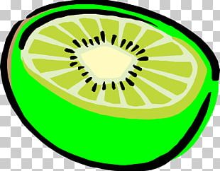 Kiwifruit Drawing PNG