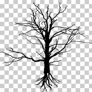 Tree Silhouette Root PNG, Clipart, Artwork, Black And White, Branch ...