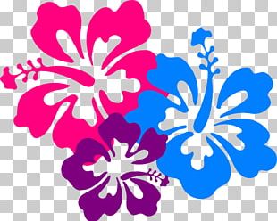 Hawaiian Flower Aloha PNG, Clipart, Aloha, Artwork, Clip, Cut Flowers ...