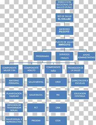 Honda Organizational Structure