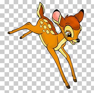 Thumper Bambi PNG, Clipart, Carnivoran, Cartoon, Deer, Desktop ...