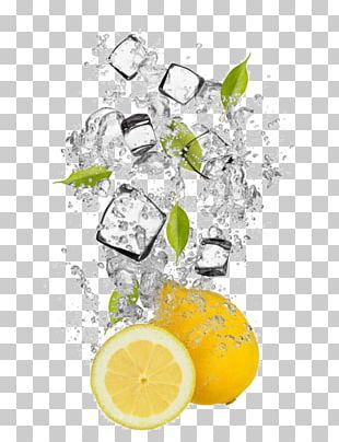 Frutti Di Bosco Fruit Ice Cube Mango PNG