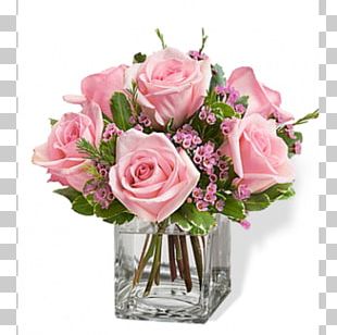 Lilium Vase Rose Lily 'Stargazer' Flower PNG