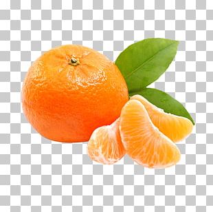 Orange Juice Tangerine Mandarin Orange Satsuma Mandarin PNG