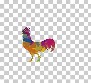 Chicken Euclidean Rooster PNG