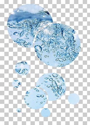 Water Circle Organism PNG