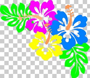 Cuisine Of Hawaii Hawaiian Flower PNG, Clipart, Aloha, Blue Hibiscus ...