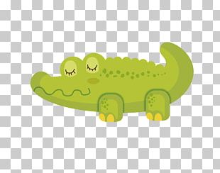 Crocodile Euclidean Cartoon PNG