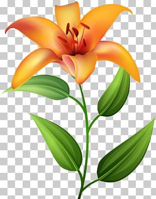 lompat tali clipart flower