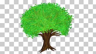 Cartoon Forest PNG Images, Cartoon Forest Clipart Free Download