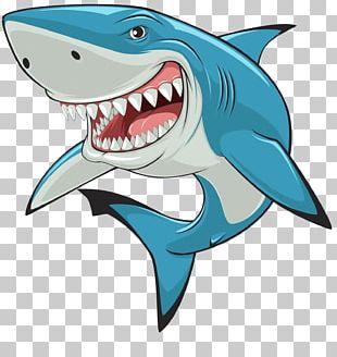 Great White Shark PNG, Clipart, Animals, Cartilaginous Fish, Cartoon ...