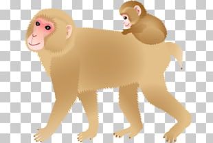 Old World Monkey PNG and Old World Monkey Transparent Clipart Free  Download. - CleanPNG / KissPNG