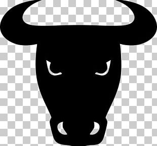 Texas Longhorn English Longhorn Bull PNG
