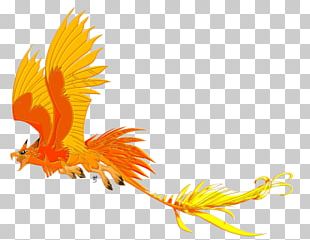 Chicken Protoceratops Griffin Oviraptor Velociraptor PNG