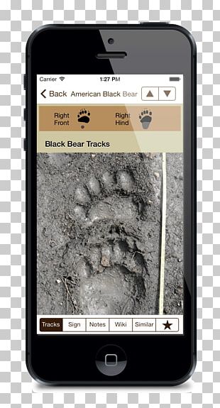 American Black Bear Elk Armadillo Deer Animal Track PNG
