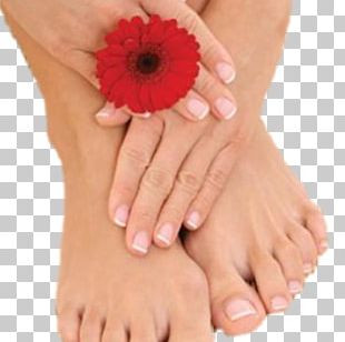 Manicure Pedicure Beauty Parlour Nail Salon PNG